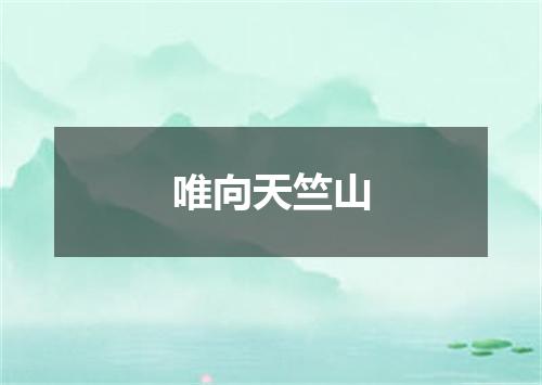 唯向天竺山