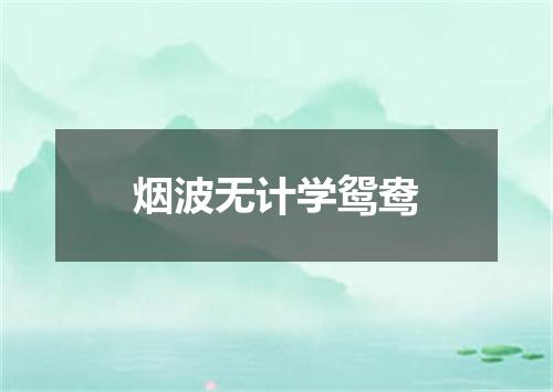 烟波无计学鸳鸯