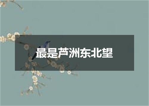 最是芦洲东北望
