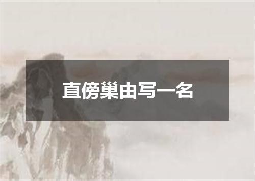 直傍巢由写一名