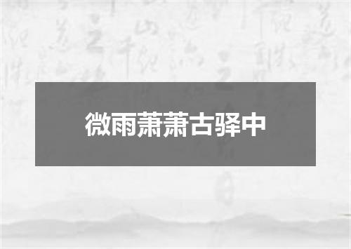 微雨萧萧古驿中