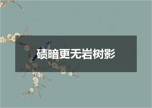 碛暗更无岩树影
