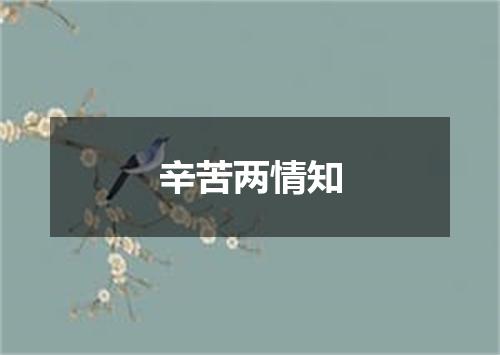 辛苦两情知