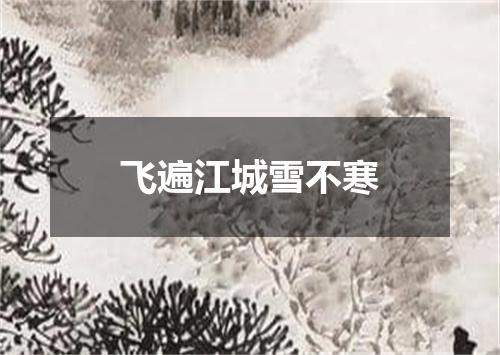 飞遍江城雪不寒