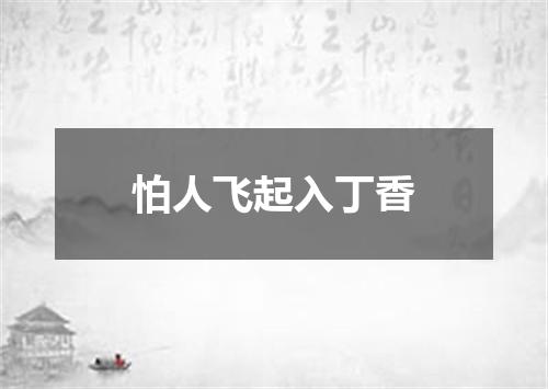 怕人飞起入丁香