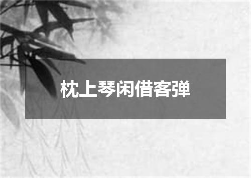 枕上琴闲借客弹