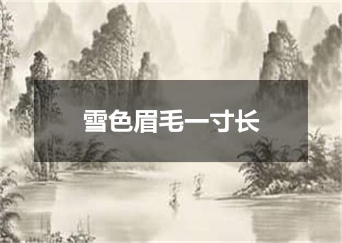 雪色眉毛一寸长