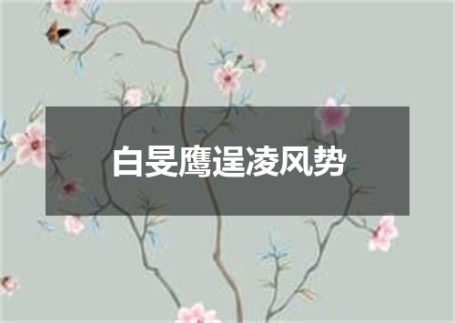 白旻鹰逞凌风势