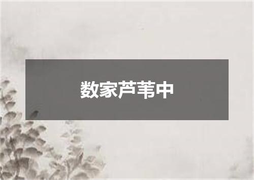 数家芦苇中