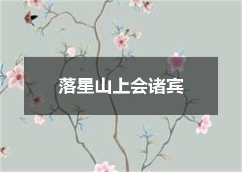 落星山上会诸宾
