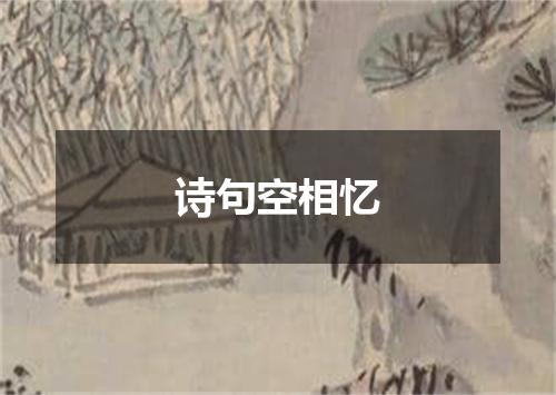 诗句空相忆