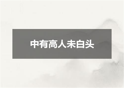 中有高人未白头