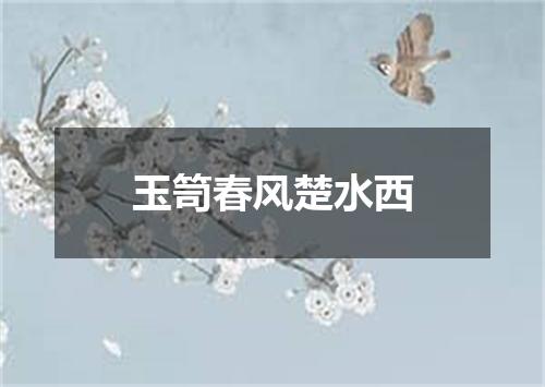 玉笥春风楚水西