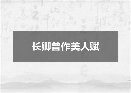 长卿曾作美人赋