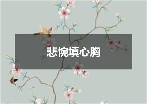 悲惋填心胸