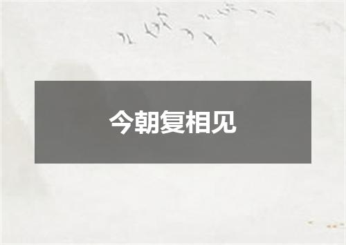 今朝复相见