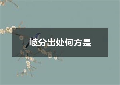 岐分出处何方是