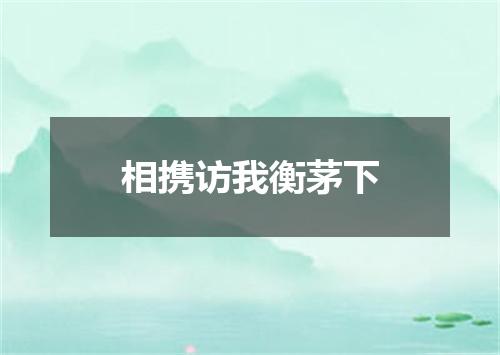 相携访我衡茅下
