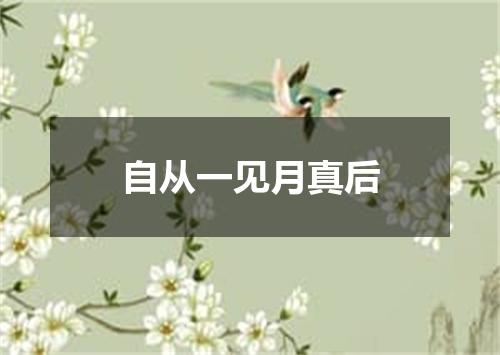 自从一见月真后