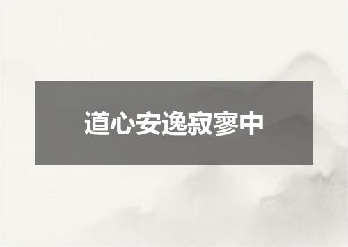 道心安逸寂寥中