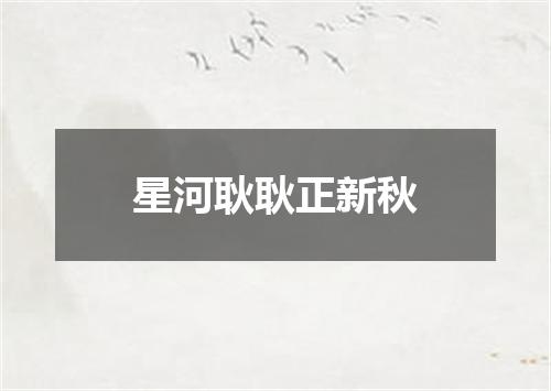 星河耿耿正新秋