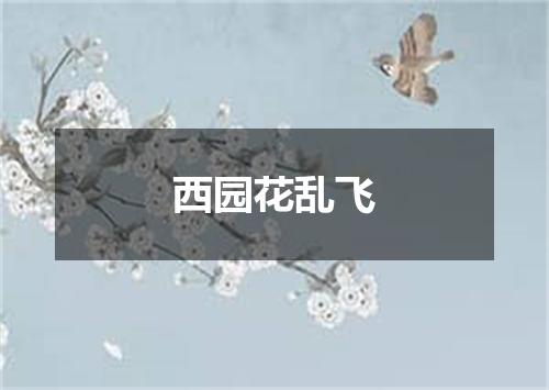 西园花乱飞