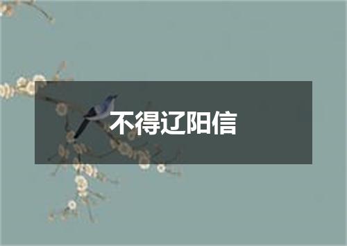 不得辽阳信