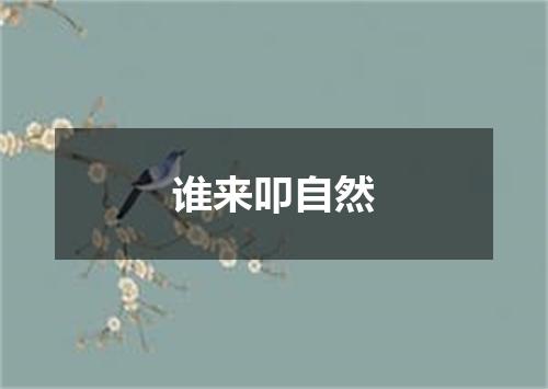 谁来叩自然