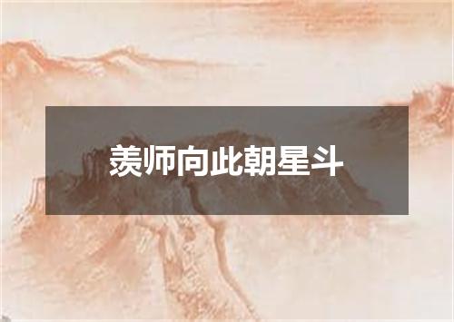 羡师向此朝星斗