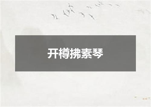 开樽拂素琴