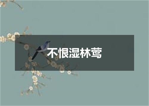 不恨湿林莺