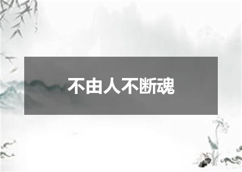 不由人不断魂