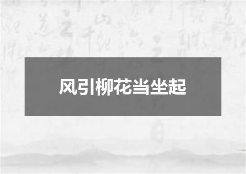风引柳花当坐起