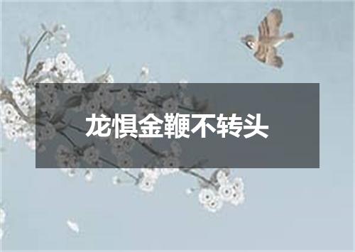 龙惧金鞭不转头