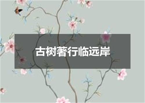 古树著行临远岸
