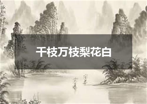 千枝万枝梨花白