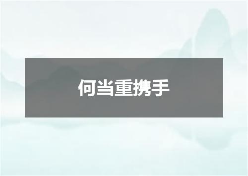 何当重携手