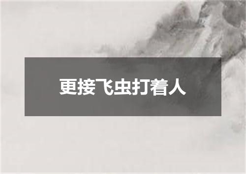 更接飞虫打着人
