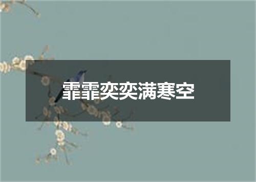 霏霏奕奕满寒空