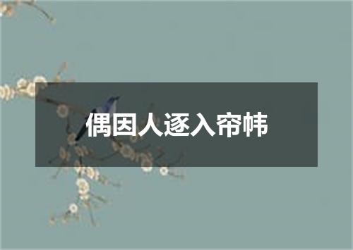 偶因人逐入帘帏