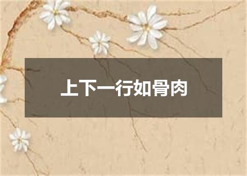 上下一行如骨肉