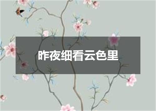 昨夜细看云色里
