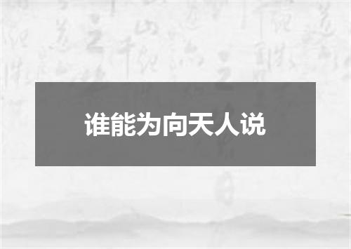 谁能为向天人说