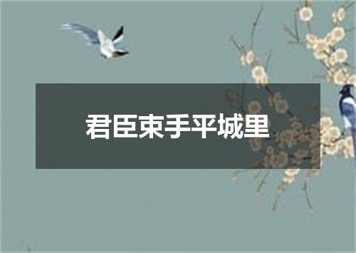 君臣束手平城里