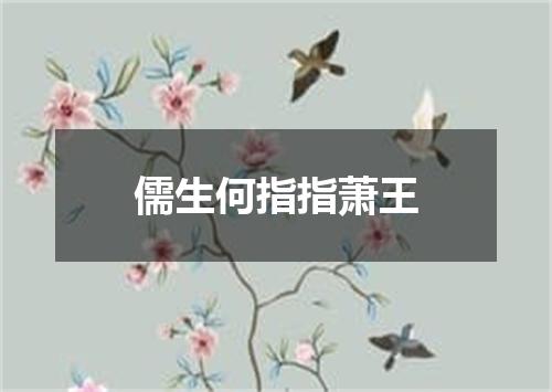 儒生何指指萧王
