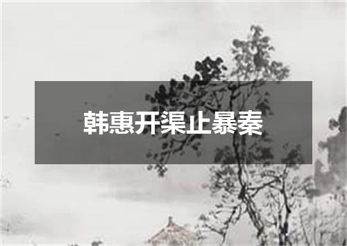 韩惠开渠止暴秦