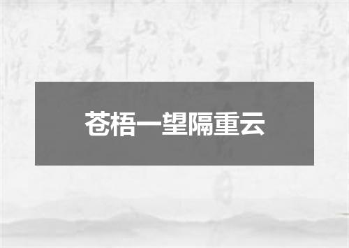 苍梧一望隔重云