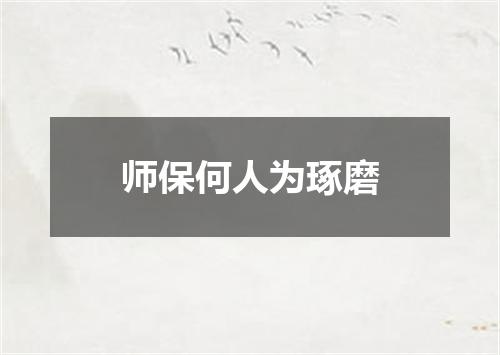 师保何人为琢磨