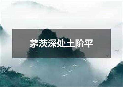 茅茨深处土阶平