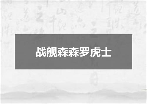 战舰森森罗虎士